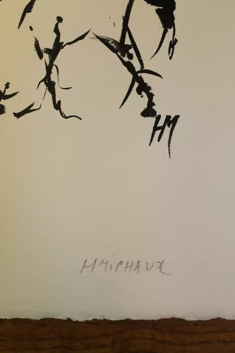 Encre de chine Henri Michaux